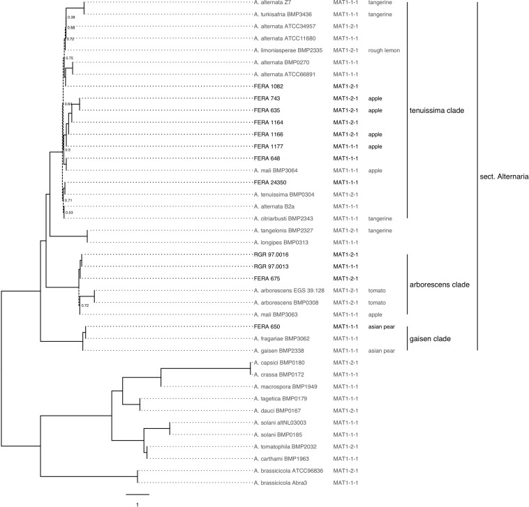 FIGURE 3