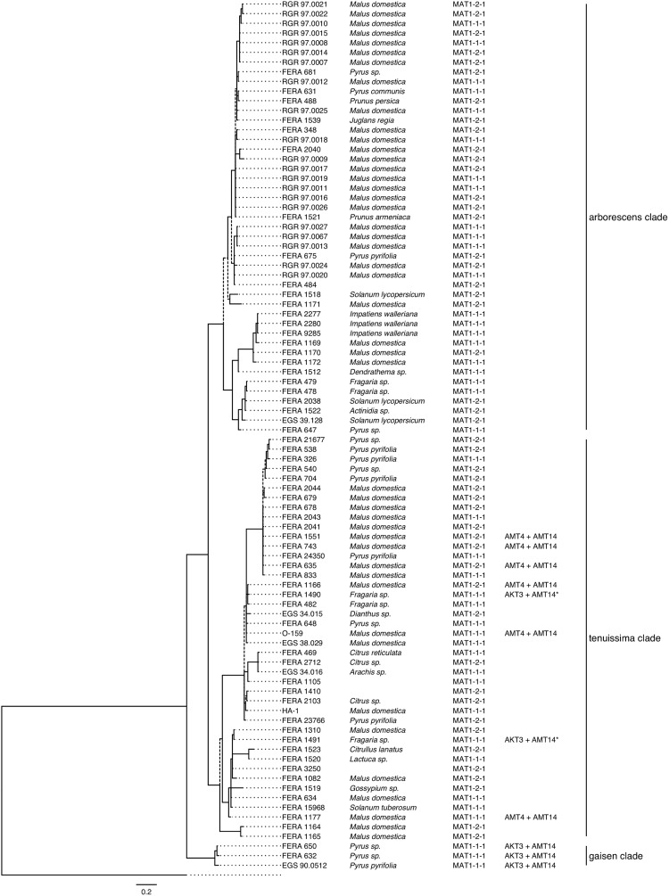 FIGURE 4