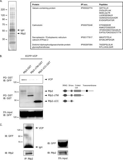 Figure 10.