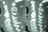 Fig. (9)