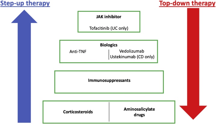 Fig. 2