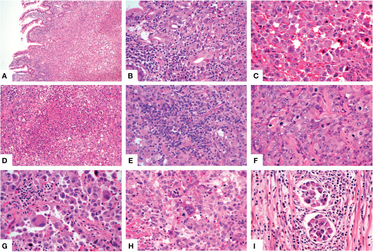 Figure 3