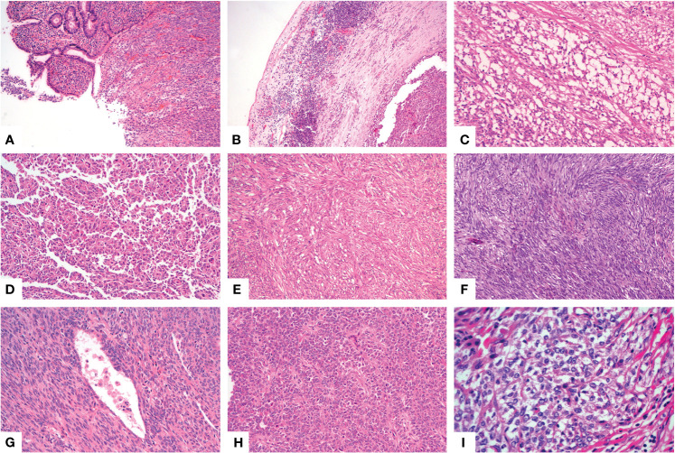 Figure 1