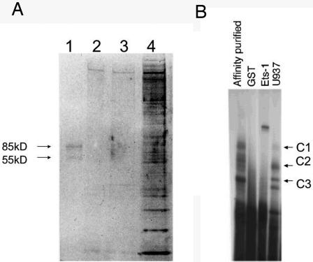 FIG. 3.