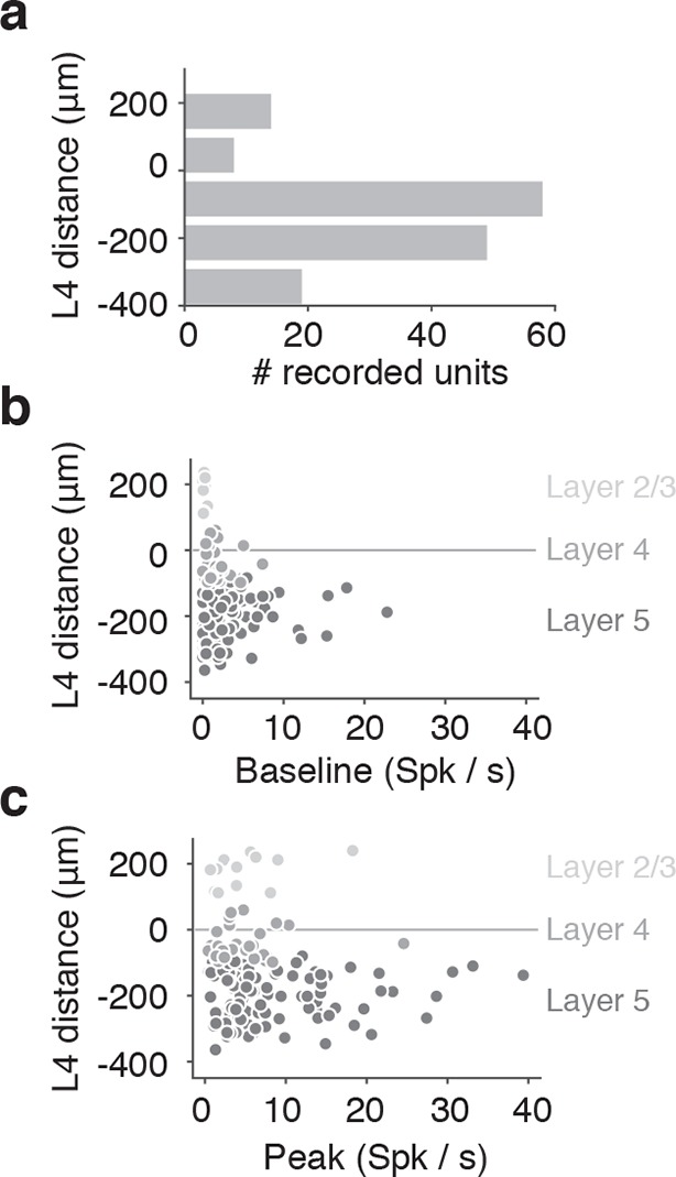 Figure 4—figure supplement 2.