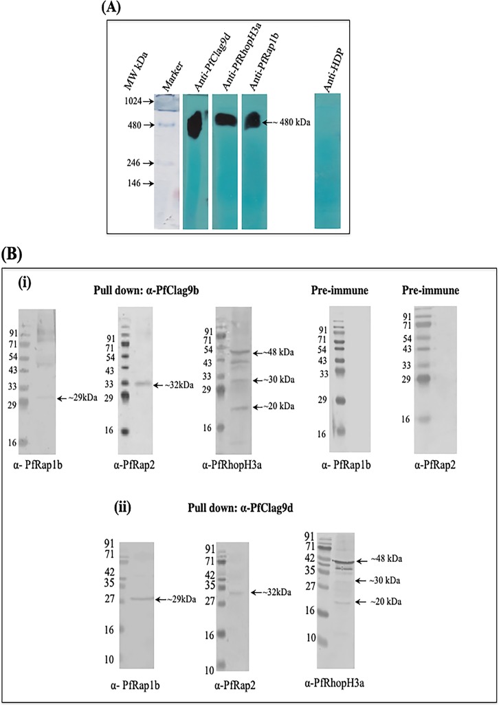 FIG 2