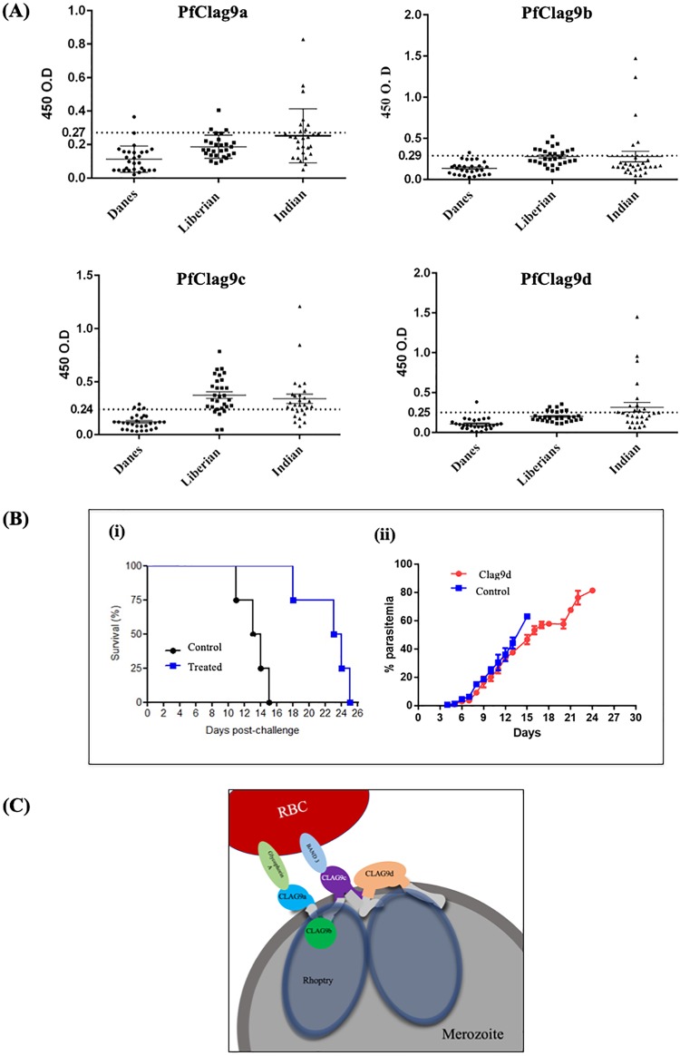 FIG 4