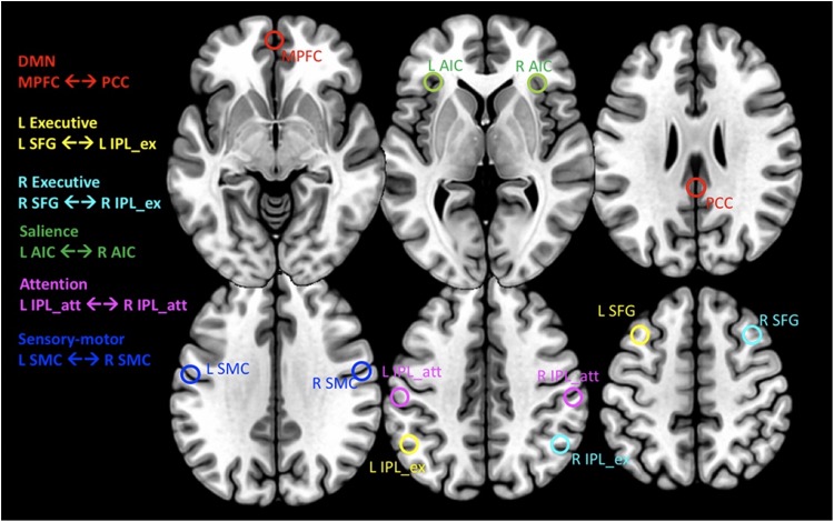 FIGURE 1