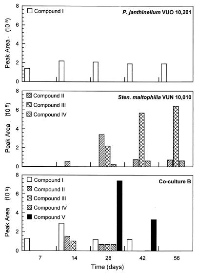 FIG. 7