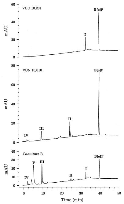 FIG. 6