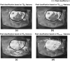 Fig. 5