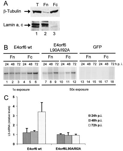 FIG. 8