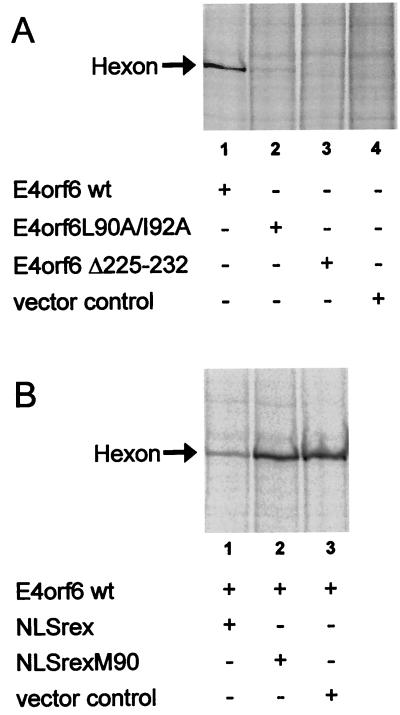 FIG. 5