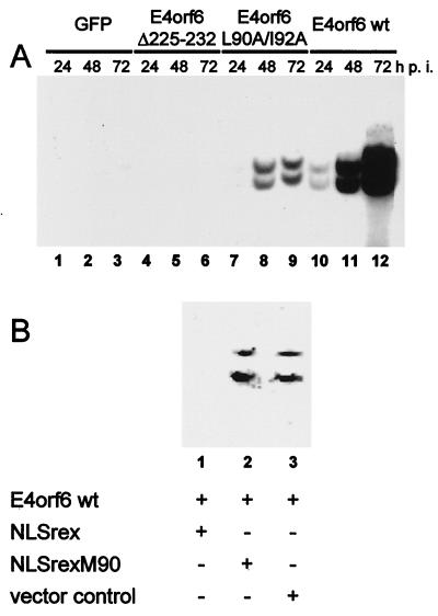 FIG. 6