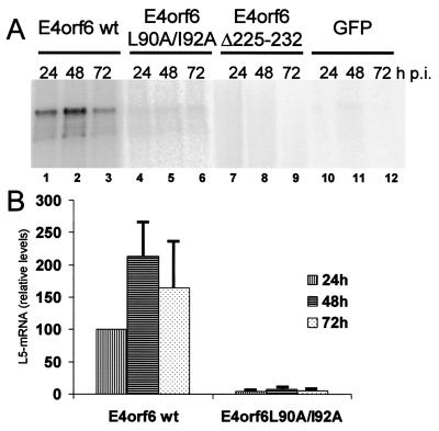 FIG. 7