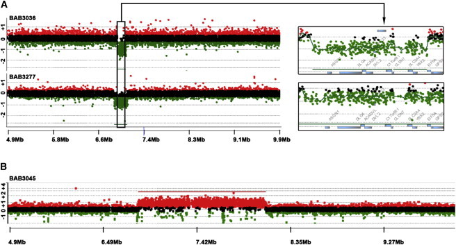 Figure 1