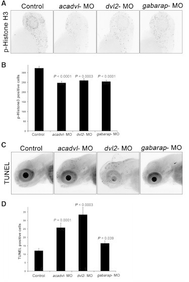 Figure 4