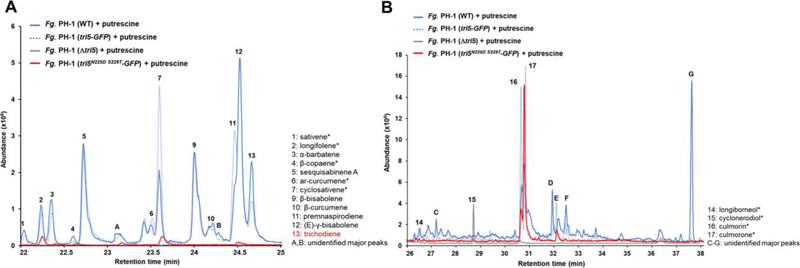 Figure 5.