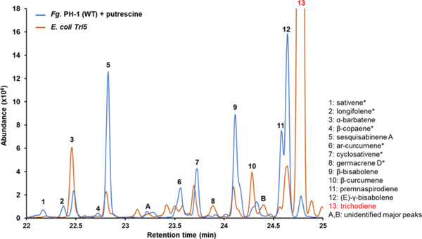 Figure 4: