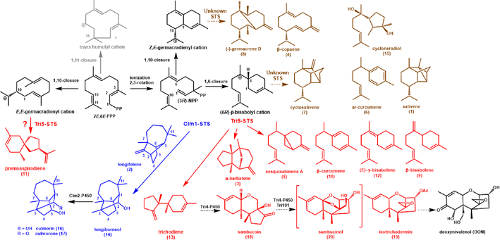 Figure 1.