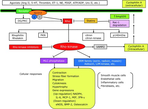 Fig. 4