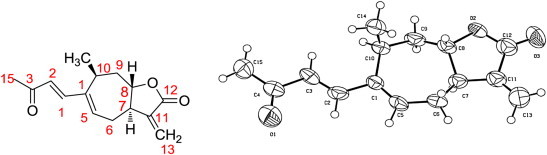 Fig. 2