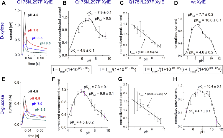 Figure 6