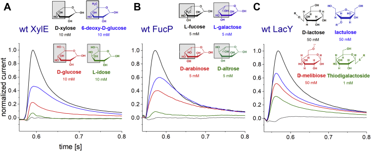 Figure 1