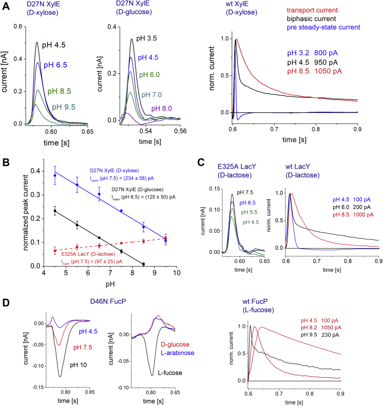 Figure 5