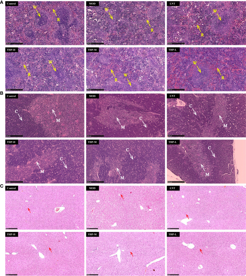 Figure 10