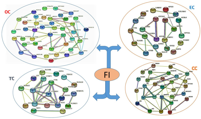 Fig 6