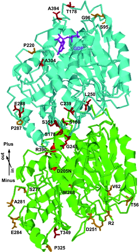 Fig. 2.