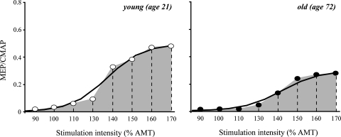 Fig. 1