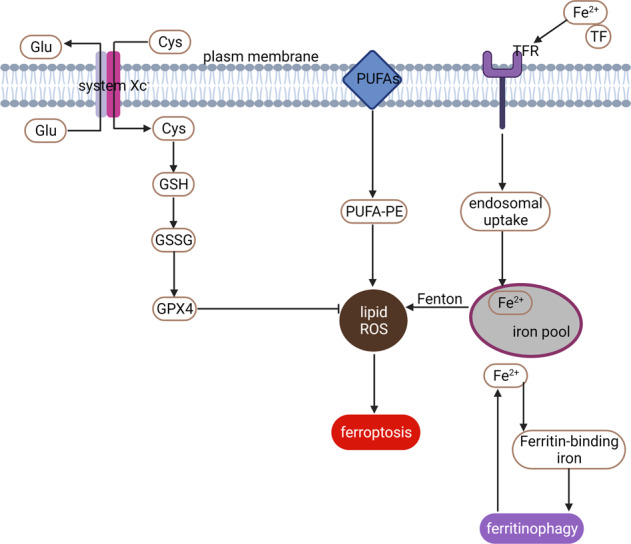 Fig. 2