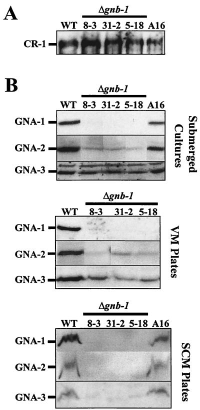 FIG. 5.