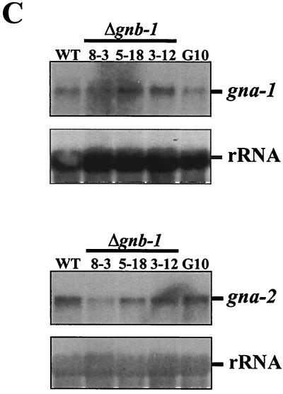 FIG. 5.