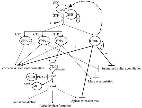 FIG. 6.