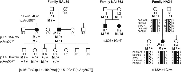 Figure 4