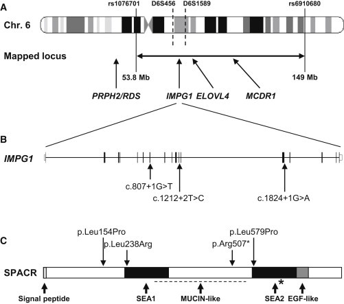 Figure 3