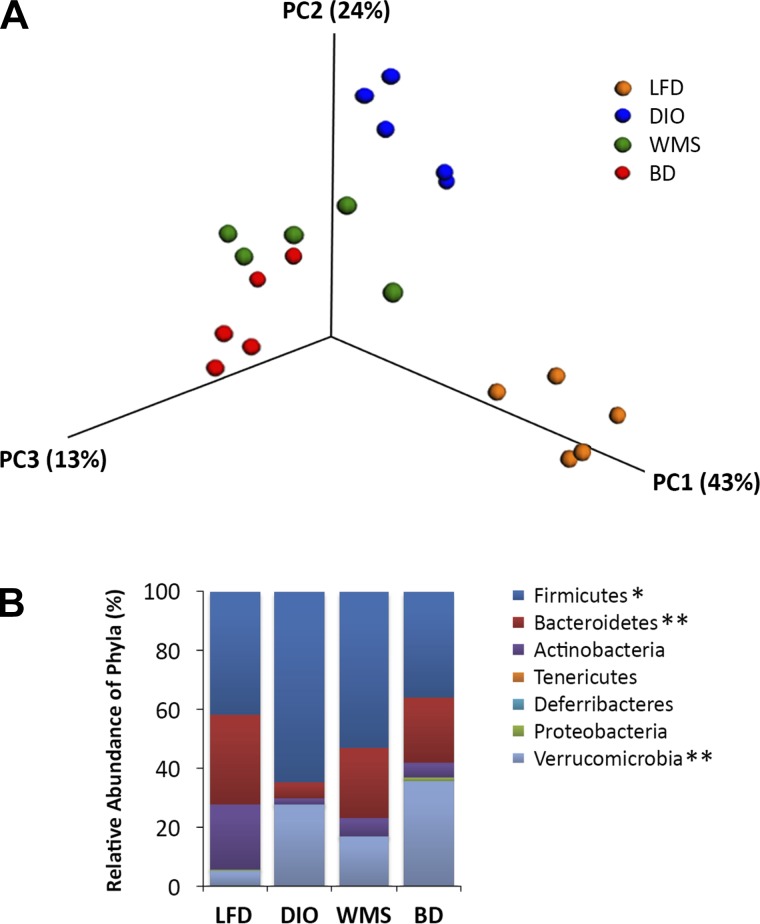 Fig. 12.