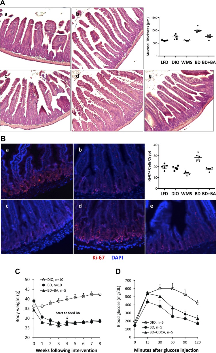 Fig. 9.