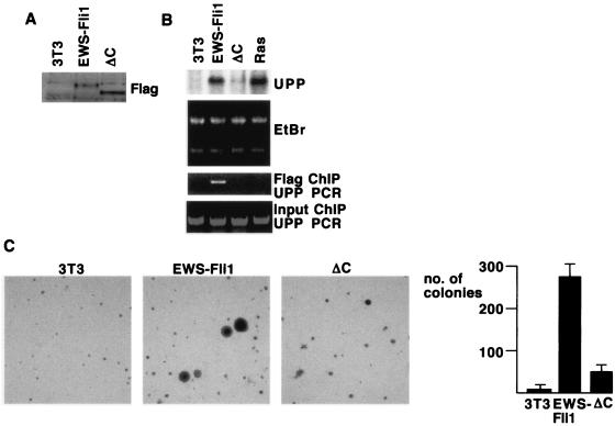 FIG. 8.