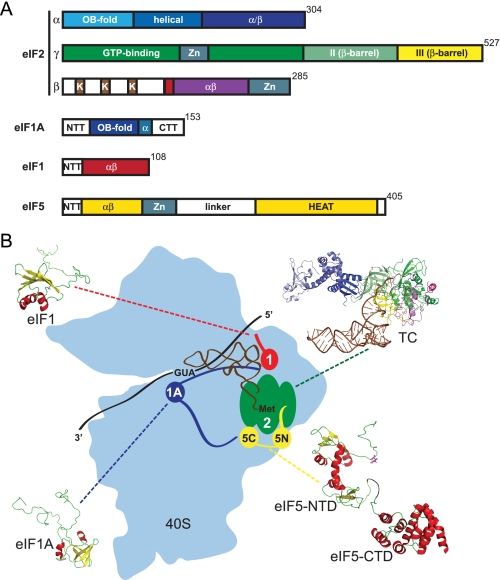 FIGURE 2.