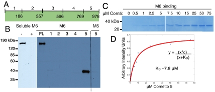 Fig. 3.