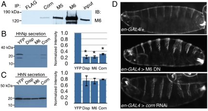 Fig. 4.