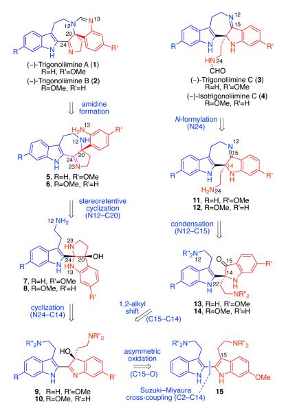 Scheme 1