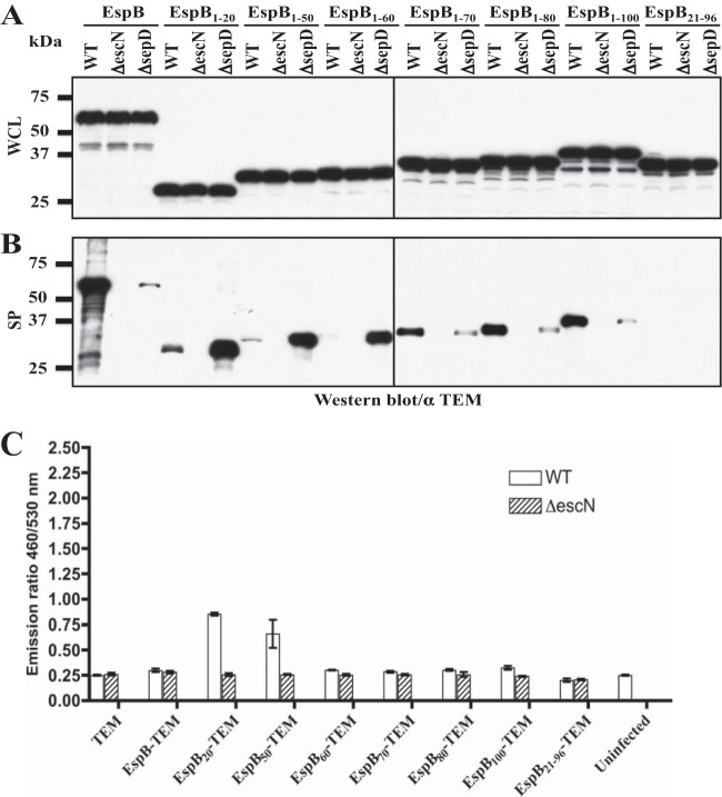 FIG 3