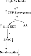 F<sc>igure</sc> 13.