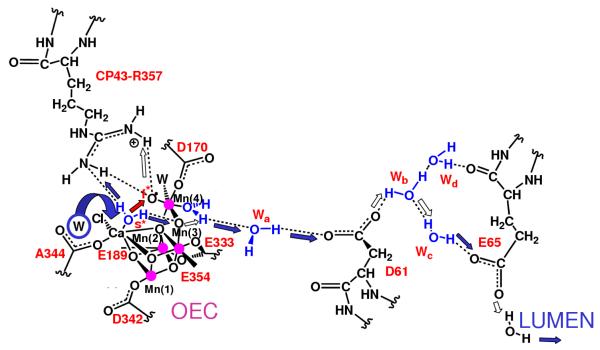 Figure 9