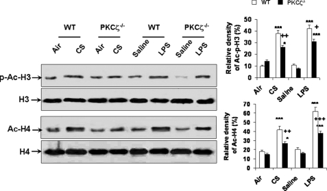 FIGURE 10.